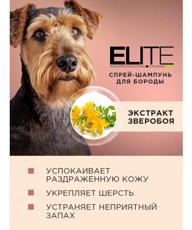 AVZ Cleaning spray for dogs with antifungal effect - Buy Online on GoSupps.com