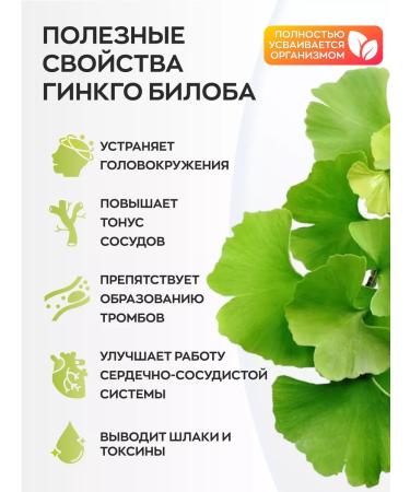 Visterra Ginkgo bilobe for memory and brain capsules 60 pcs - Buy Online on GoSupps.com