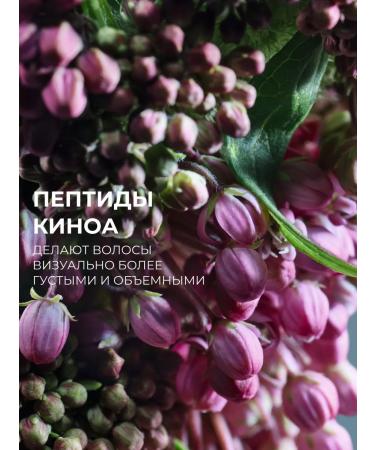 Yves Rocher Hair set "volume" (shampoo + air conditioning) - Buy Online on GoSupps.com