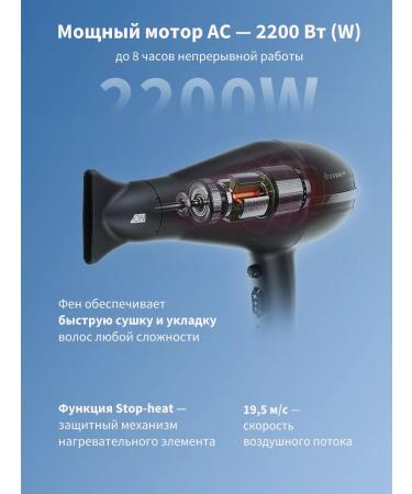 Dewal Feng 2200 W Exception 03-113 BLASK - Buy Online on GoSupps.com