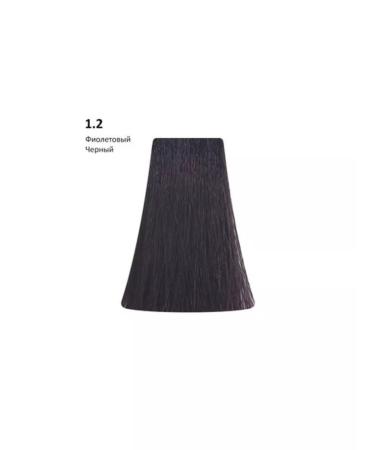 BB One 1.2 Violet Picasso Color Range 100 ml. - Buy Online on GoSupps.com