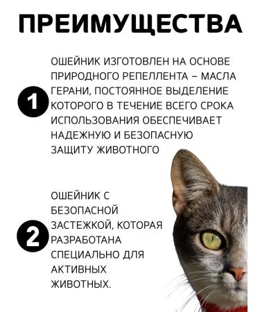 Doctor Zoo Bio -hazelnik for cats and small dogs 35 cm green - Buy Online on GoSupps.com