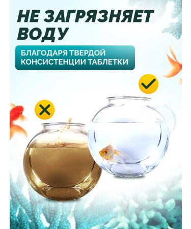 AquaFood Feed for bottom fish PLECO SPIRULINA WAFERS 200 g - Buy Online on GoSupps.com