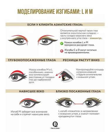 OkoLashes Brown eyelashes for building L 0.07 6-14 mm - Buy Online on GoSupps.com