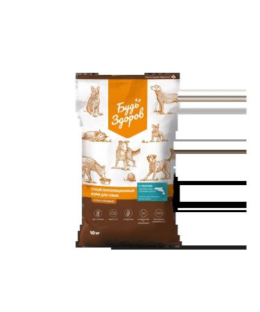 Be healthy Dry food for dogs with fish 10 kg large granules