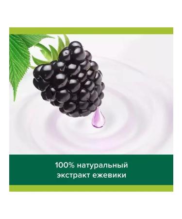 PALMOLIVE Gel for the shower Gurme SPA moss moss blackberry 500 ml - Buy Online on GoSupps.com