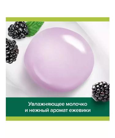 PALMOLIVE Gel for the shower Gurme SPA moss moss blackberry 500 ml - Buy Online on GoSupps.com