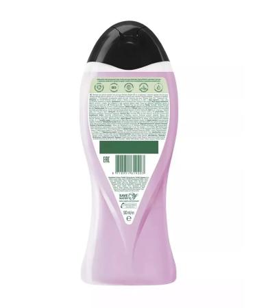 PALMOLIVE Gel for the shower Gurme SPA moss moss blackberry 500 ml - Buy Online on GoSupps.com