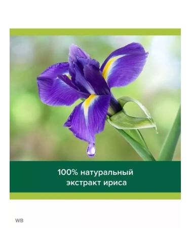 PALMOLIVE Luxury of oils of shower gel 250ml avocado and Iris - Buy Online on GoSupps.com