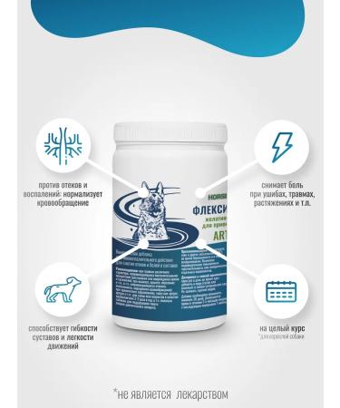 Horse-Bio Gelatin capsules with a devilish claw for dogs 100 pcs - Buy Online on GoSupps.com