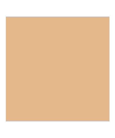 AVENE High Protection SPF50+ SUN SUNTER PALE BEAR - Buy Online on GoSupps.com