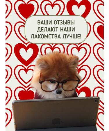 BonKhrust Dog's treats light beef 300 grams for training - Buy Online on GoSupps.com