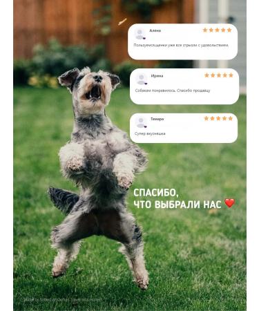 BonKhrust Dog's treats light beef 300 grams for training - Buy Online on GoSupps.com