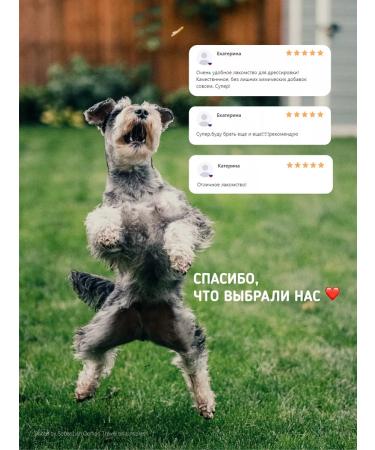 BonKhrust Light beef treat for dog training 1000 grams - Buy Online on GoSupps.com