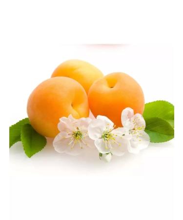 Gardens of Pridonya Puree children's apple-apricot without sugar 125 g 10 pcs - Buy Online on GoSupps.com