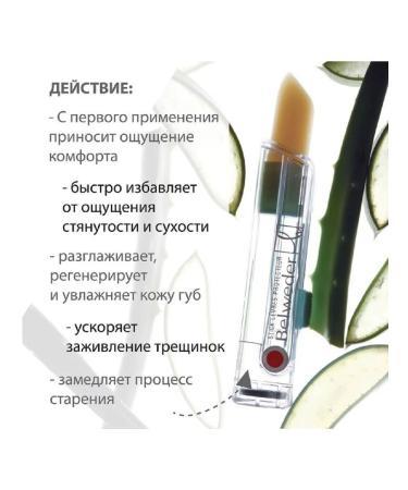 BELWEDER Protective -regulatory lipstick with aloe 4 g - 1pc - Buy Online on GoSupps.com