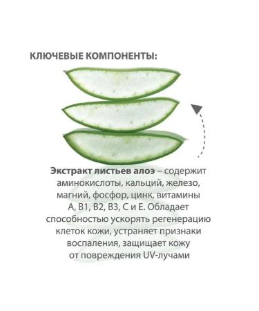 BELWEDER Protective -regulatory lipstick with aloe 4 g - 1pc - Buy Online on GoSupps.com