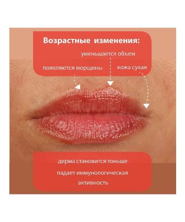 BELWEDER lipstick lip lifting with biomimetical PEP-1pcs - Buy Online on GoSupps.com