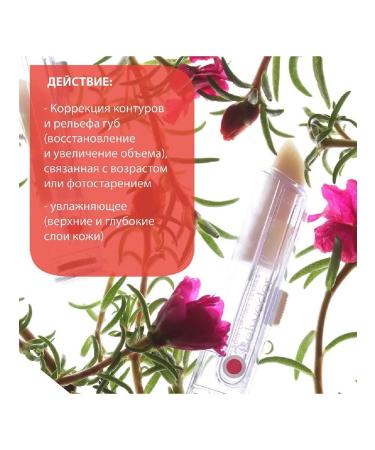 BELWEDER lipstick lip lifting with biomimetical PEP-1pcs - Buy Online on GoSupps.com