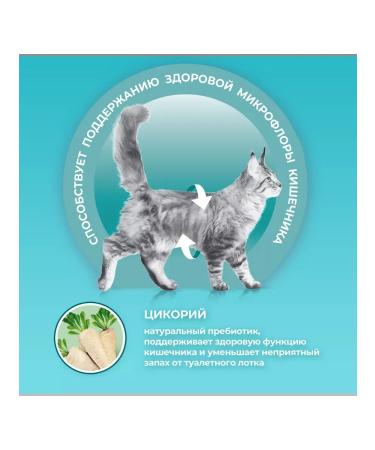 PURINA ONE Chicken food for sterilized cats 1.5 kg - Buy Online on GoSupps.com