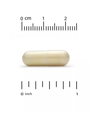 California Gold Nutrition CGN matte milk 30 capsules - Buy Online on GoSupps.com