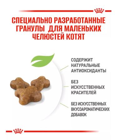 ROYAL CANIN Dry food kittens 300g - Buy Online on GoSupps.com
