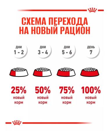 ROYAL CANIN Dry food kittens 2kg - Buy Online on GoSupps.com