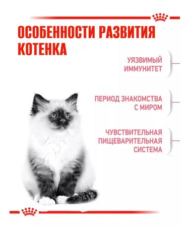 ROYAL CANIN Dry food kittens 2kg - Buy Online on GoSupps.com