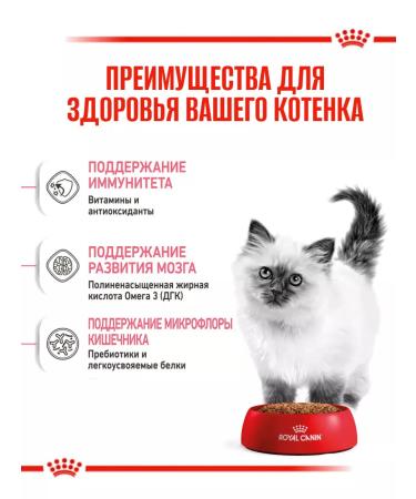 ROYAL CANIN Dry food kittens 2kg - Buy Online on GoSupps.com