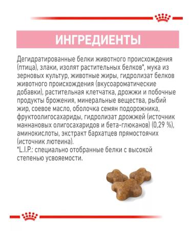 ROYAL CANIN Dry food kittens 2kg - Buy Online on GoSupps.com