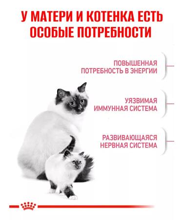 ROYAL CANIN Mother and Babycat dry kittens 2kg - Buy Online on GoSupps.com