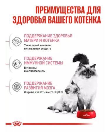 ROYAL CANIN Mother and Babycat dry kittens 2kg - Buy Online on GoSupps.com