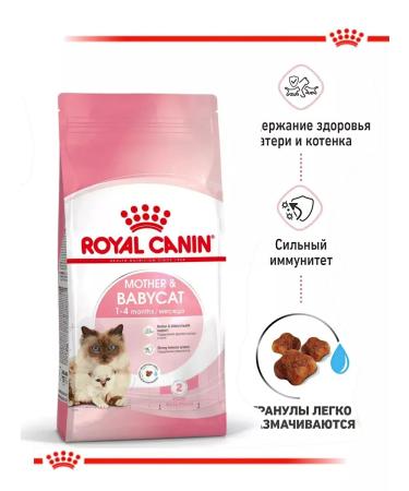 ROYAL CANIN Mother and Babycat dry kittens 2kg - Buy Online on GoSupps.com