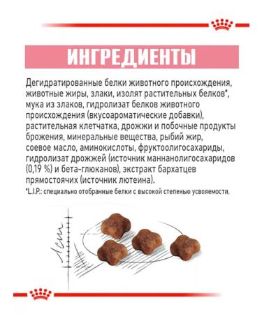 ROYAL CANIN Mother and Babycat dry kittens 2kg - Buy Online on GoSupps.com