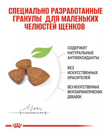 ROYAL CANIN X-Small Dry Feed for miniature species 1.5 kg - Buy Online on GoSupps.com