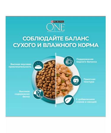 PURINA ONE Dry food for sterile cats salmon 3kg - Buy Online on GoSupps.com