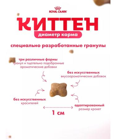 ROYAL CANIN Dry food for Kitten kittens from 4 to 12 months 2 kg - Buy Online on GoSupps.com