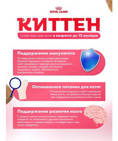 ROYAL CANIN Dry food for kittens Kitten from 4 to 12 months 4 kg - Buy Online on GoSupps.com