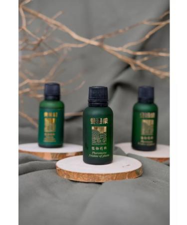 Lee West Good night oil for navel and body 2 units - Buy Online on GoSupps.com