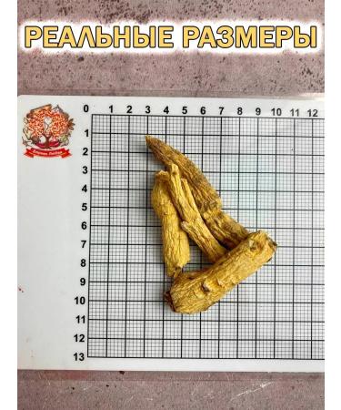 Tree of Love Ginseng the root is dried - Buy Online on GoSupps.com