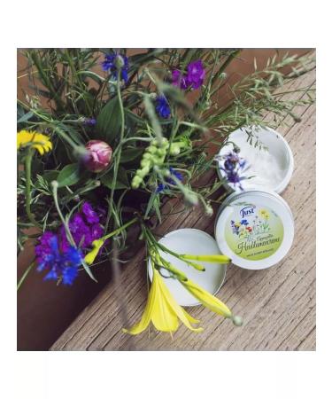 Body cream appencelller (hay color) Just 50 ml - Buy Online on GoSupps.com