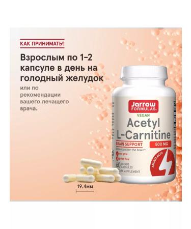Jarrow Formulas Acetyl l carnitine fat burner Acetyl L-Carnitine 60 cap - Buy Online on GoSupps.com