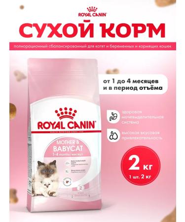 ROYAL CANIN Dry food for kittens and pregnant and nursing 2 kg