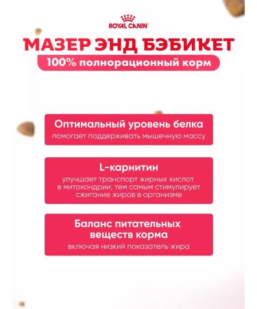 ROYAL CANIN Dry food for kittens and pregnant and nursing 2 kg - Buy Online on GoSupps.com