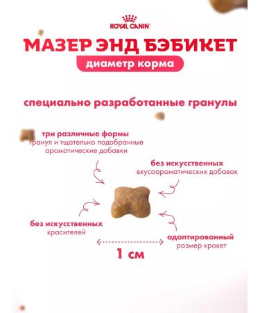 ROYAL CANIN Dry food for kittens and pregnant and nursing 4 kg - Buy Online on GoSupps.com