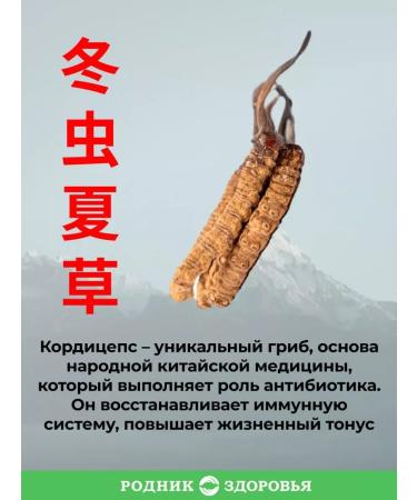 Spring of Health Cordyceps 120 capsules vitamins for immunity - Buy Online on GoSupps.com