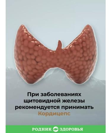 Spring of Health Cordyceps 120 capsules vitamins for immunity - Buy Online on GoSupps.com