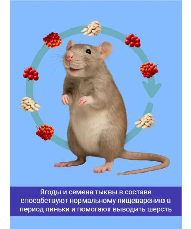 Smile King Rat food Premium 1800 gr - Buy Online on GoSupps.com