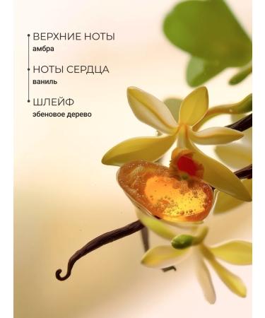 Zeitun Body car tanning + shimmering milk with shimmer - Buy Online on GoSupps.com