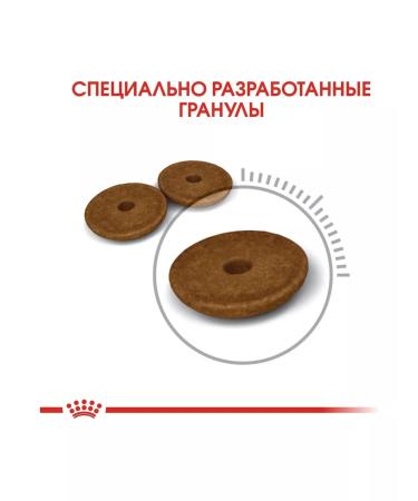 ROYAL CANIN Dry food for cats Digestive Care 2 kg - Buy Online on GoSupps.com